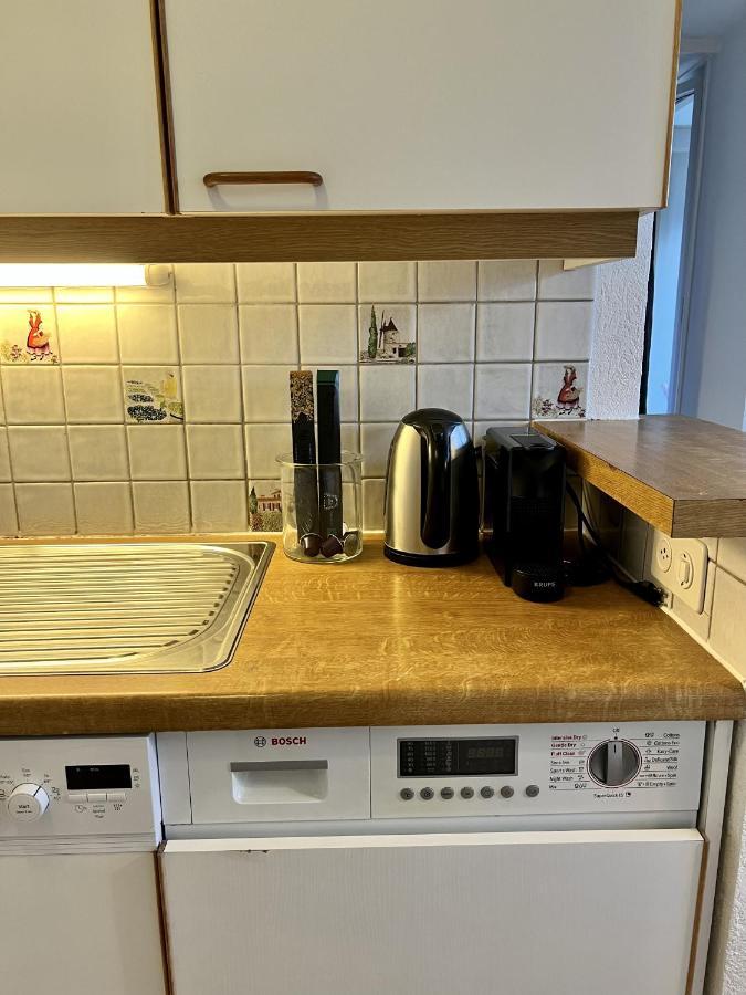 Beautiful Park View Apartment Next To Un Женева Екстер'єр фото